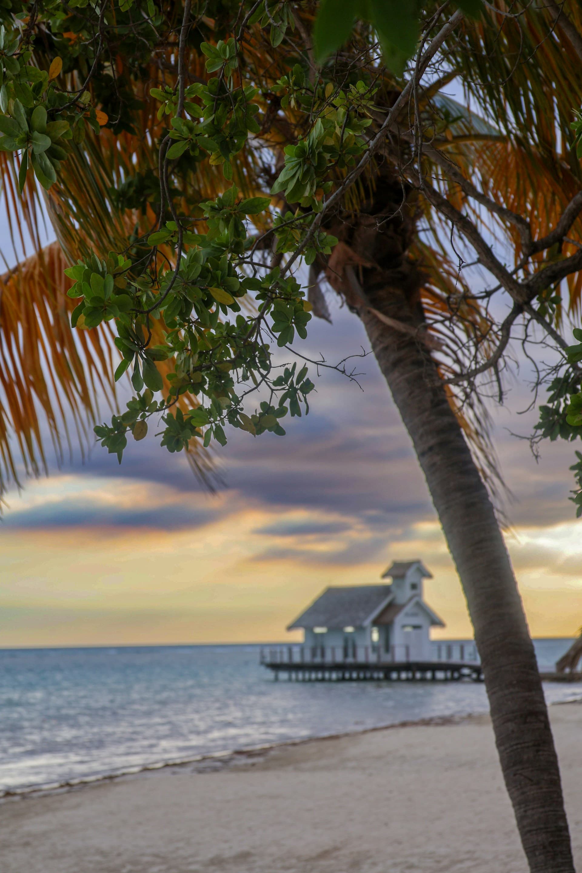 Jupiter and Tequesta: Coastal Kitchen Inspiration for Waterfront Homes